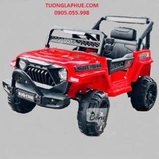 xe ô tô điện BDQ-1208